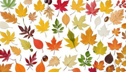 leaves colorful the abstract flower pattern floral nature design illustration blue texture art green pink colours light plant wallpaper leaf red flora purple digital dark spring summer colourful