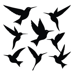 Set of Anna’s Hummingbird black Silhouette Vector on a white background