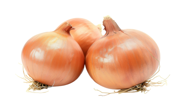 Harmony in Simplicity: Two Onions Embracing Stillness