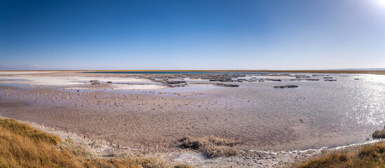 desert landscape of the highlands of Chile