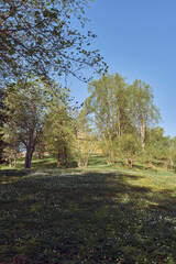 Images from a day in May 2024 at Steinberg Open Air Museum, Toten, Norway.