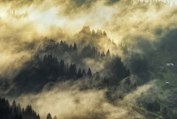 silhouettes of morning mountains. foggy morning in the Carpathians. Mountain landscape