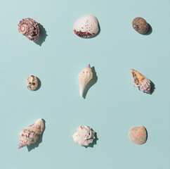 Different kinds of seashells on the blue background top view