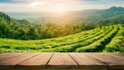empty wooden table for product and blurred fresh landscape nature background