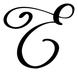 Hand drawn vector calligraphy letter E. Script font logo. Handwritten brush style flourish