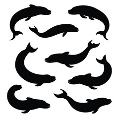 Set of Black American Eel Silhouette Vector on a white background