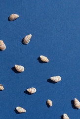 Seashells on the blue background seamless pattern flat lat. Top view. Copy space
