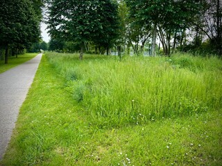 urban sustainable management