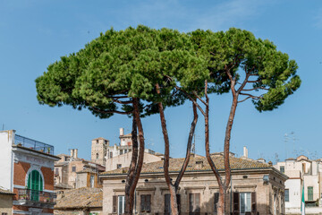 Piazza Plebiscito Lanciano
