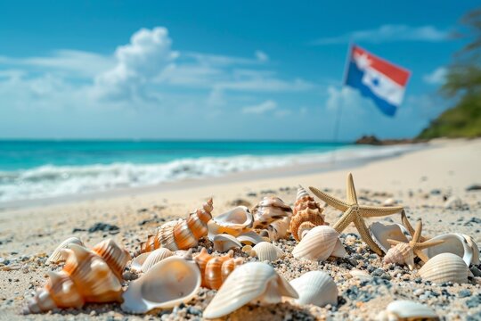 couple sandals and shells on sand - beach holiday in two - Summer
. Beautiful simple AI generated image in 4K, unique. - Powered by Adobe
