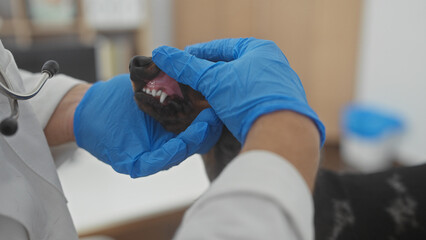 A veterinarian in blue gloves examines a dog's mouth in a clinic setting