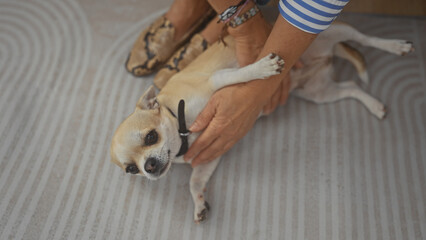 Hispanic woman cuddling her chihuahua indoors in a cozy home setting
