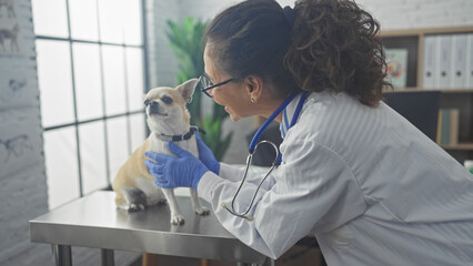 A hispanic woman veterinarian examines a chihuahua in a clinic