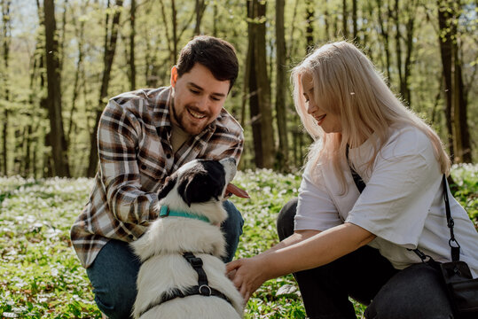 young cheerful couple playing with their cute mixed breed rescue dog outdoors in the forest