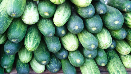 A stack file of fresh cucumber vegetables