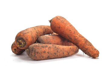 Freshly Harvested Carrots With Soil From a Farm on a White Background