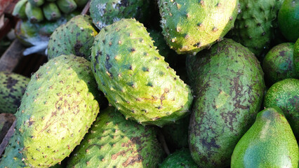 Soursop of Guyabano in Tagalong fruits