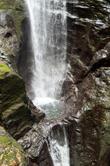 Obraz premium 日本周遊 奈良県吉野森林めぐり