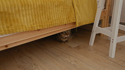A cat is hiding under a bed inside a home with wooden floors and a yellow blanket, creating a cozy indoor setting.