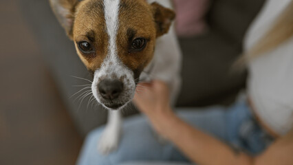 Close-up of a small dog with a woman in blurry background, indoors, displaying affection and...