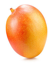 mango isolated on a white background. Clipping path