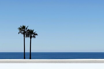 Serene Beach Scene with Palm Trees and Ocean
