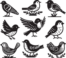 bird vectore illastration