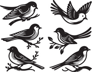 bird vectore illastration