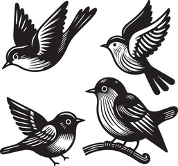 bird vectore illastration