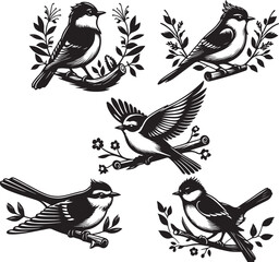 bird vectore illastration