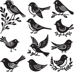 bird vectore illastration