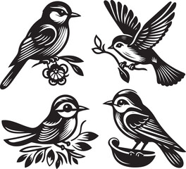 bird vectore illastration