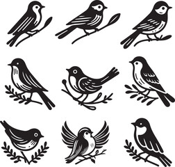 bird vectore illastration
