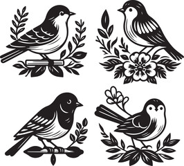 bird vectore illastration