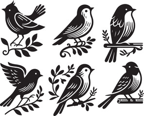 bird vectore illastration