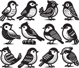 bird vectore illastration
