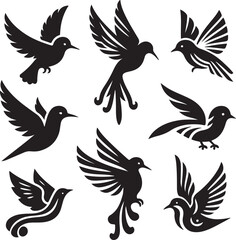 bird vectore illastration