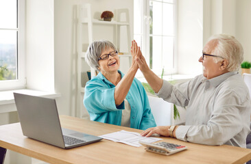 Happy senior married couple giving high five congratulate each other on receiving financial profit....