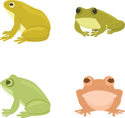 Frog icons set cartoon vector. Various cartoon cute frog. Amphibian reptile