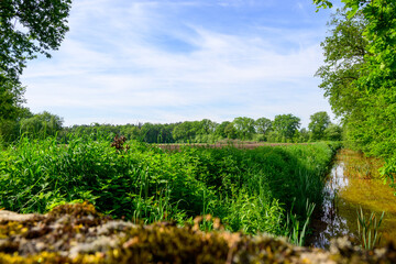 Beautiful agricultural landscape with green and brown colors near a blue sky with veil clouds.