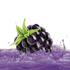 mûre qui surf dans les vagues de son jus