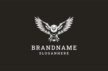 Obraz premium Eagle logo template vector illustration design