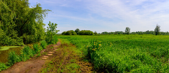 panoramic photo of 3 separate photos of a beautiful green natural landscape in a protected nature reserve with a footpath with some stones in the mud.