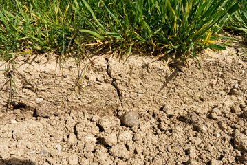 Cracks in the ground due to drought in 2024