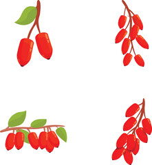 Barberry icons set cartoon vector. Ripe red barberry on branch. Organic food