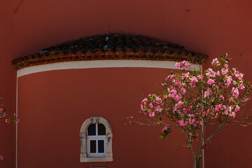 amazing color match of red walls of Greek Church in paxox island and flowering pink blooming...