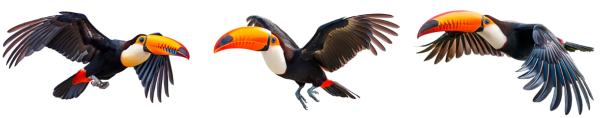 Printed roller blinds Set of toco toucan (Ramphastos toco) in mid flight. Flying tropical bird isolated on transparent background.
