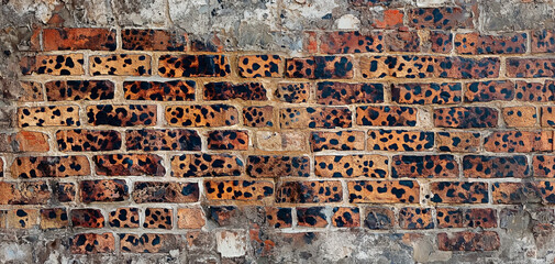 A rustic brick wall with jaguar pattern painted that can be used as background. Weathered wall with wild print.