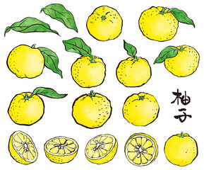 筆で描いた柚子