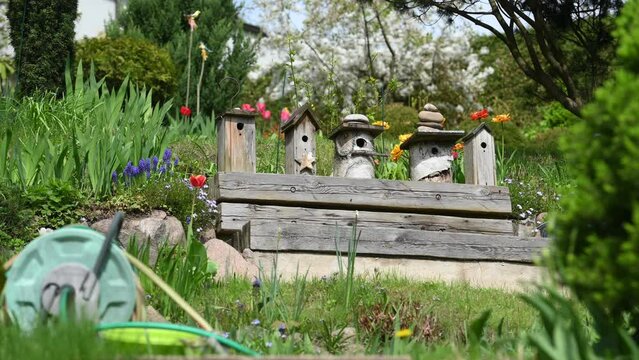 Old birdhouse in garden during sping day